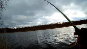 7 ноября 2019г отлично отработал Воблер Tsuribito Dead Minnow 90F и Itumo Clipper120!