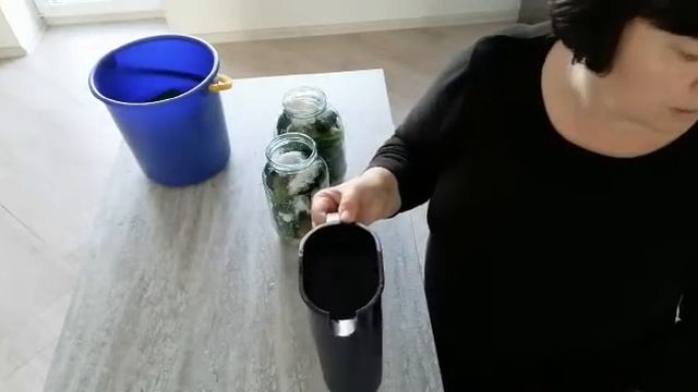 Сезон огурцов открыт. смотреть онлайн