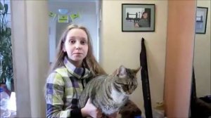 Жизнь русалок подростков 1 сезон 1 серия