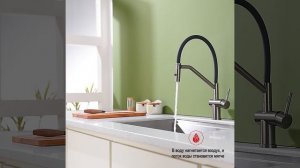 Смеситель для кухни Raglo R86 R86.41