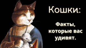 Все, что вы не знали о кошках.Интересные факты.