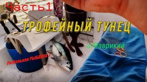 Трофейная рыбалка на тунца. Часть 1.