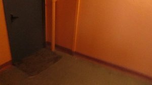 Музыкальный лифт ELM-(Queen) @ М.О. г. Дзержинский, ул. Лесная, д. 15-3 - ООО УК "ЖКХ-Онлайн" (31)