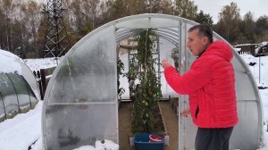 Останемся без табака_ Зима пришла раньше времени. Наша жизнь в деревне
