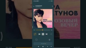 РОЗОВЫЙ ВЕЧЕР ( 1 ЧАС)