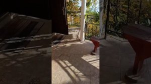 Гостевой дом ,,Кипарис,,
