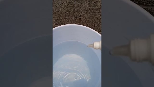 CULTIVO DE MICROALGA CHLORELLA VULGARIS EN CASA, EN RECIPIENTES DE 20 LITROS ( EN 7 DÍAS ) смотреть онлайн