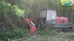 Измельчитель веток. Расчистка участка самоходным мульчером