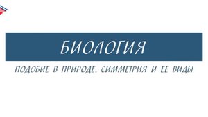 5 класс - Биология - Подобие в природе. Симметрия и её виды