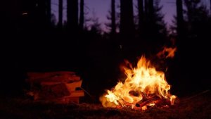📺 Ночной лесной костер после захода солнца - Успокаивающие звуки природы
