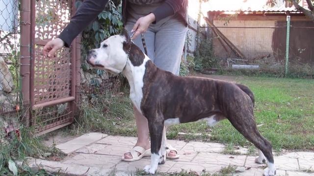 стойка ручная смотреть онлайн