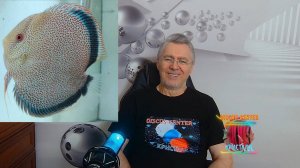 Весёлые истории как всегда!