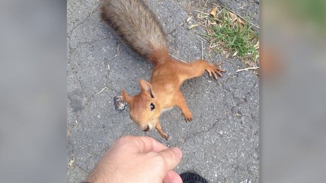 Ростов в сети. 29 июля 2023