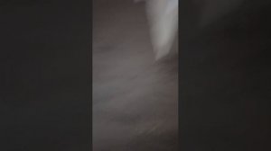 г
