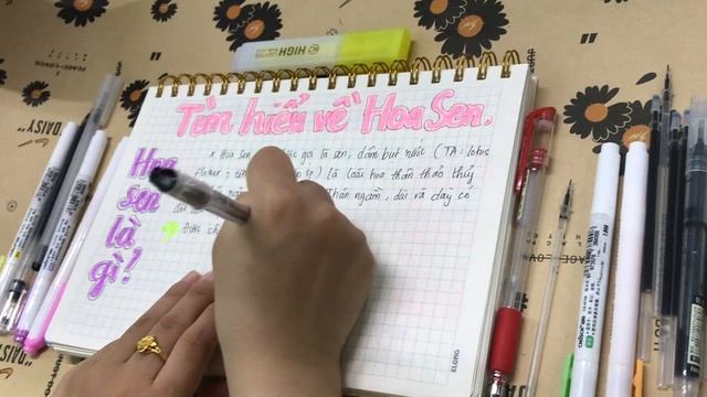 Guide to learning about lotus flowers part 36 смотреть онлайн