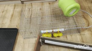 Я это сделала!