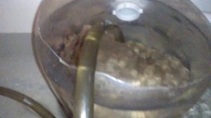 Биологический фильтр для раков проверка