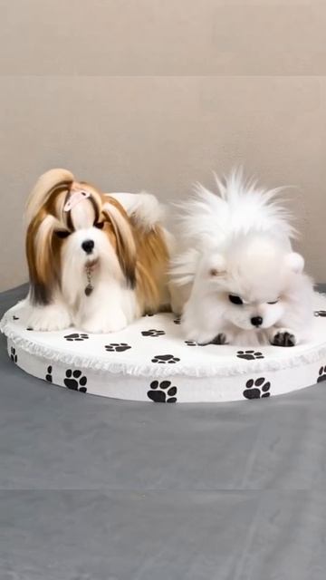 Оживила свои игрушки с помощью ИИ