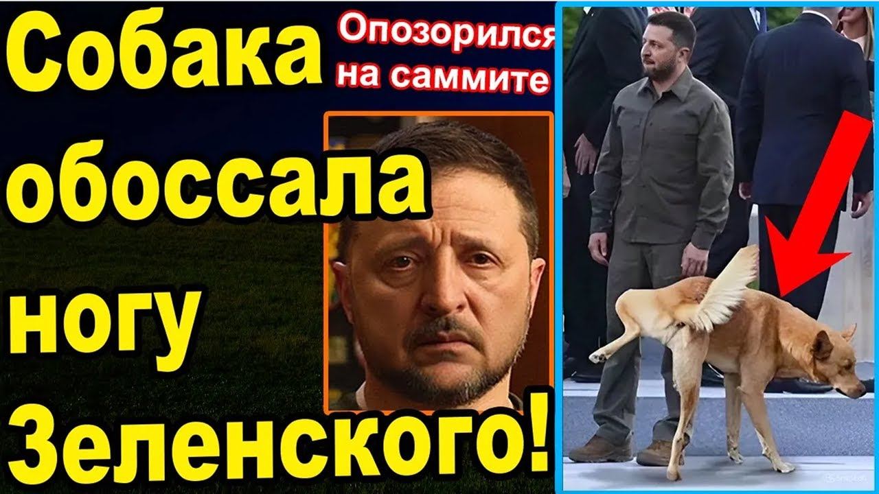 Позор на весь мир смотреть онлайн