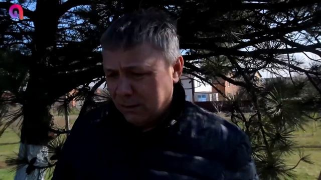 В Азовском районе посадили 5 тысяч деревьев