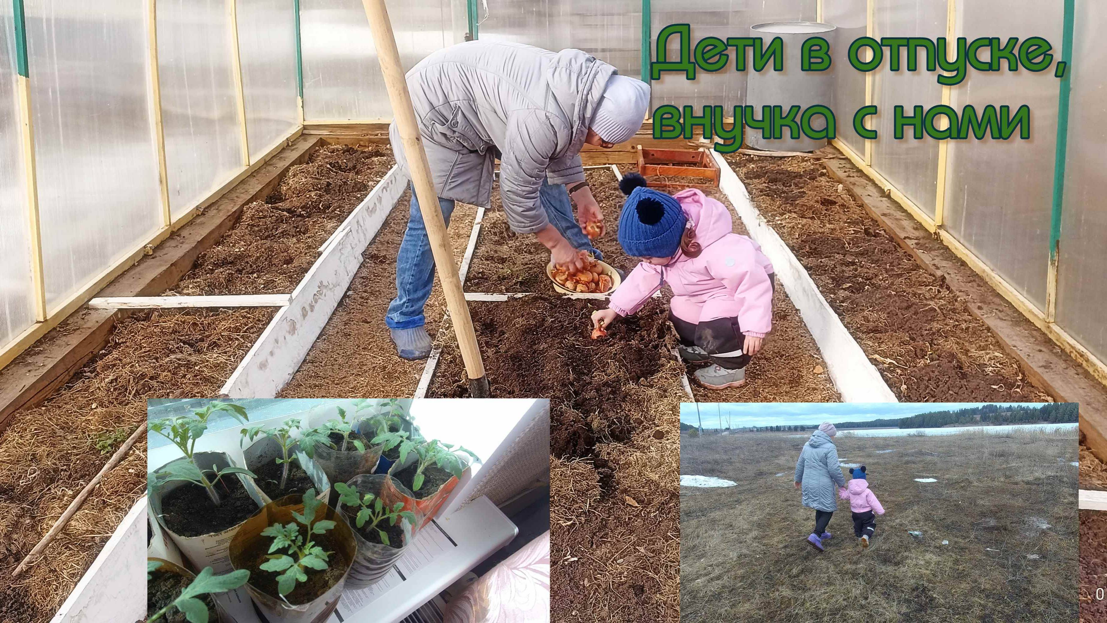 Дети уехали. Мы с внучкой в деревне. Живем в деревне