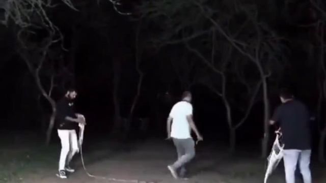 Безстрашные ребята пытались поймать одного из существ, вышедших из леса.