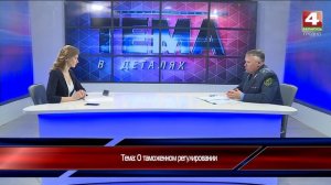 Тема в деталях _О таможенном регулировании
