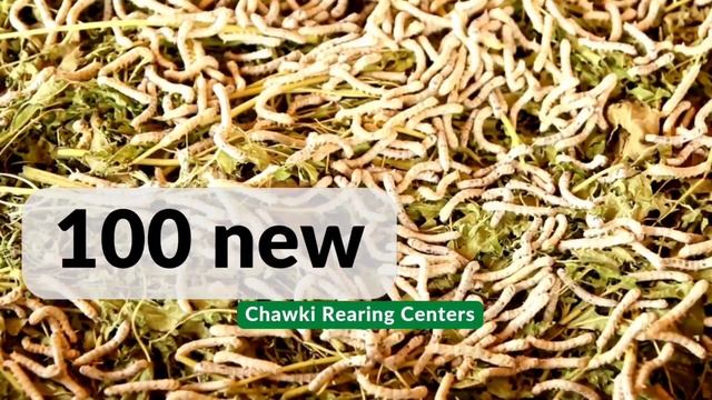 Promotion of Sericulture in J&K