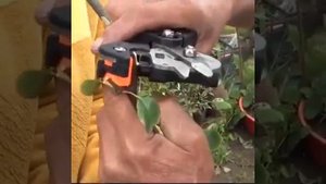 Zenport ZJ67 Omega-Cut Grafting Tool