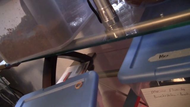 tarantula update смотреть онлайн