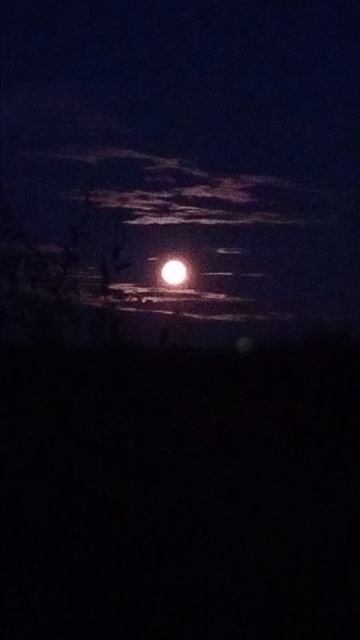 VID20240720223137 смотреть онлайн