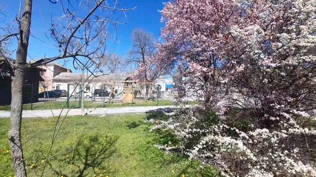 Сегодня действительно весенний денёк в Геническе
