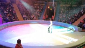 ЦИРК Запорожье 6 февраля 2021