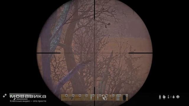 Янтарь 2
