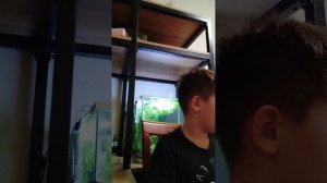 новости о соревнованиях