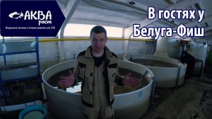 В гостях на УЗВ у Белуга-Фиш. Разведение рыбы #рыбоводство #узв #разведениерыбы #романакварост