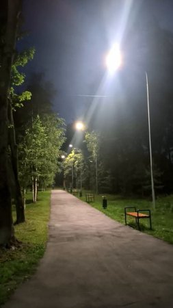 На вечерней прогулке в парке
