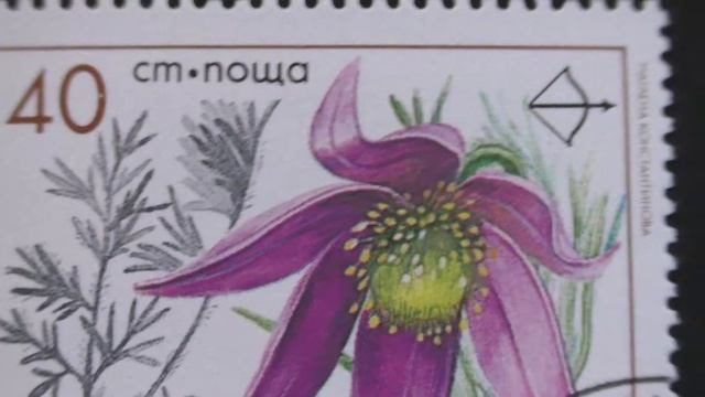 Postage stamp. НР България поща. Полско котенце. Pulsatila pratensis Mill. 1991. Price 40 см смотреть онлайн
