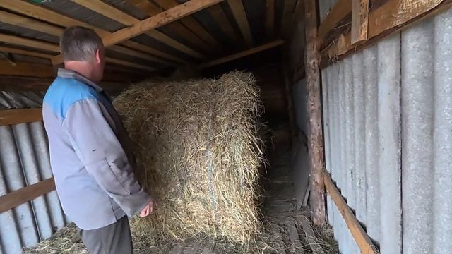 ЗА ОКНОМ ДОЖДЬ И ХОЛОДНО, А НАМ ДОМА НЕ СИДИТСЯ. УЕХАЛИ ПО ДЕЛАМ! смотреть онлайн