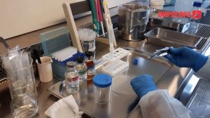 5. Элюция (часть 1)