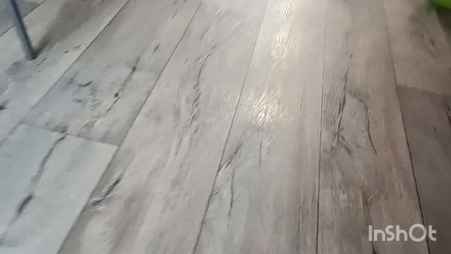 повседневные игры русский спаниель