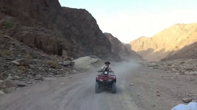 Приключения Тани и Вики ч.2 смотреть онлайн