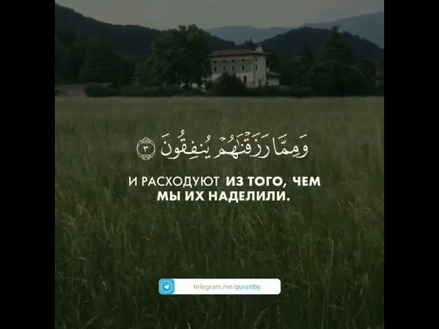 ПОСЛУШАЙТЕ КРАСИВОЕ ЧТЕНИЕ КОРАНА 157