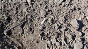 Короткометражный обзор дискования под посев.