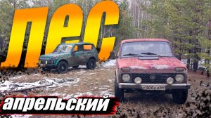 ПОКАТУШКА на НИВАХ|от 1-ого лица|Бездорожье Седельникова