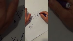 1000027697.mp4