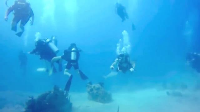 Scuba Diving - Nassau, Bahamas | Blue Hole and Barracuda Reef (2016) смотреть онлайн