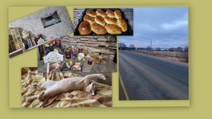 УЮТНЫЙ ВЛОГ, ПОКУПКИ, ПО МАГАЗИНАМ И ПУШИСТЫЕ СТРАСТИ))