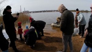зарыбление озера Амуром