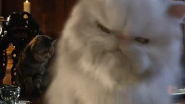 Como Perros y Gatos -extracto - Cats & Dogs  - extract - audio latino